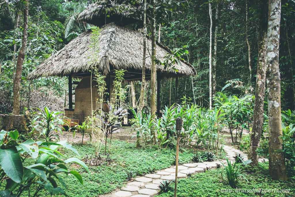 Peruvian Amazon Rainforest Expeditions Villa Review-33