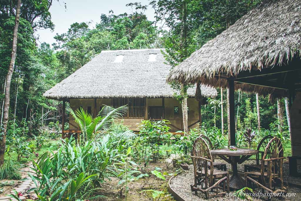 Peruvian Amazon Rainforest Expeditions Villa Review-34