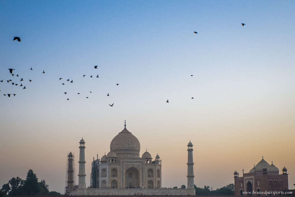 Sunset at Taj Mahal from Mehtab Bagh Gardens