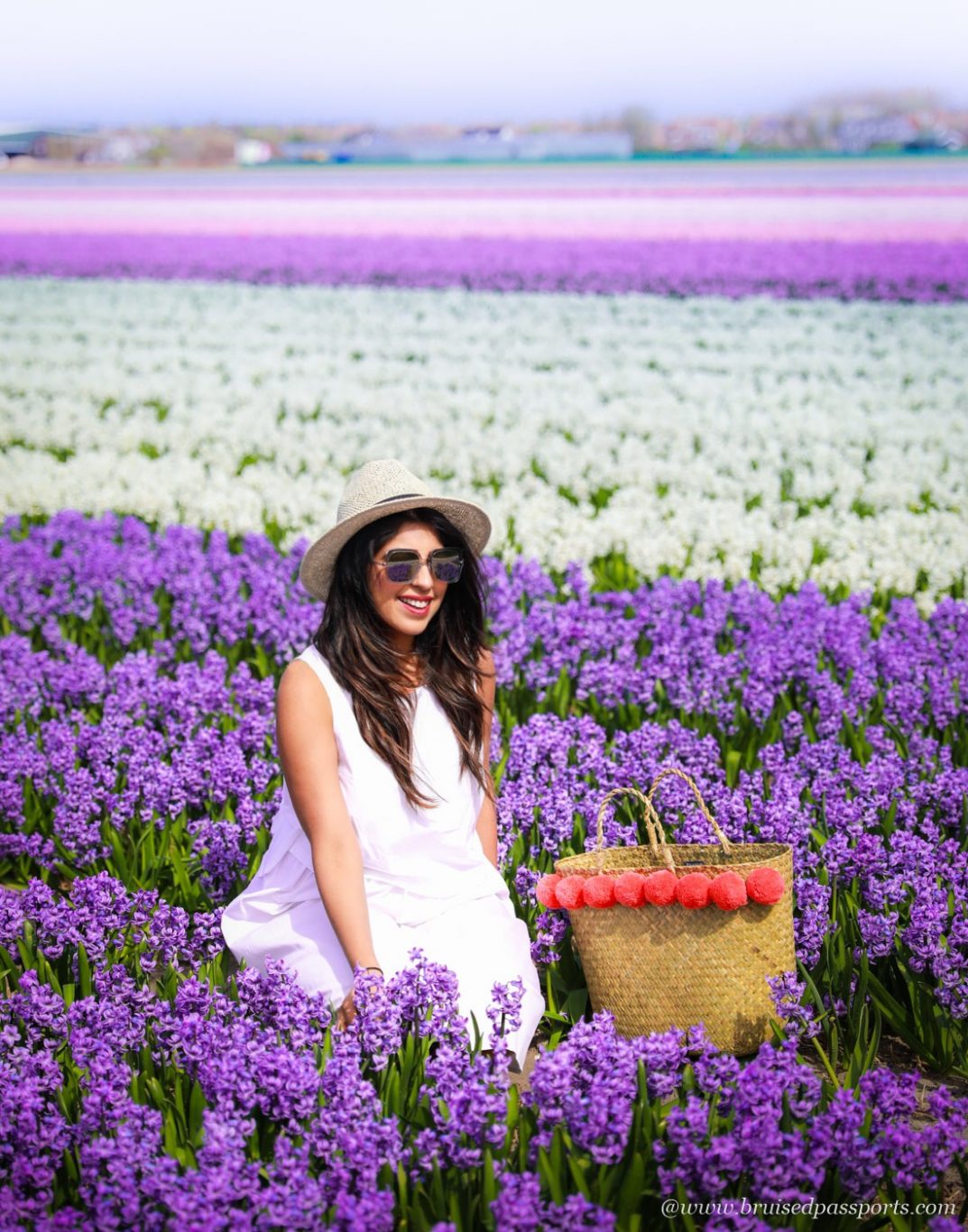 multi-coloured flower fields in Netherlands during tulip season