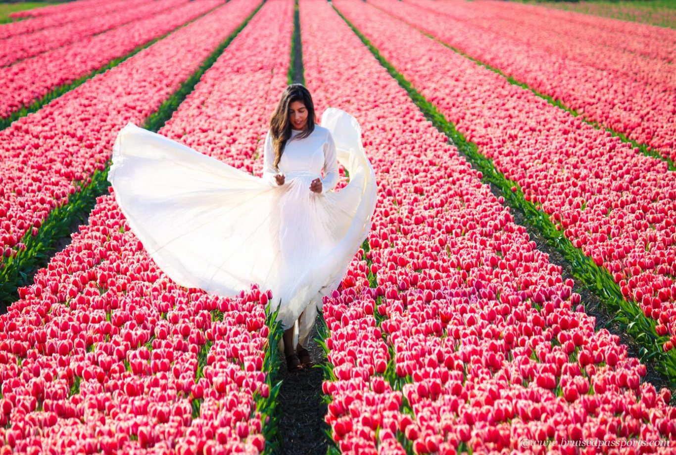 girl in white maxi in tulip fields of Netherlands