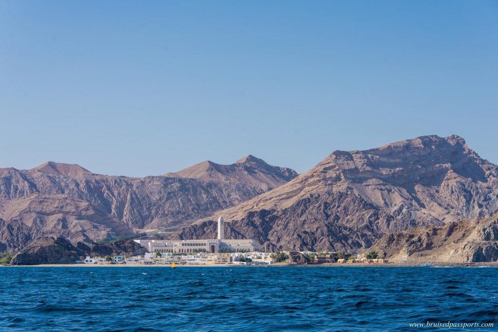 Dolphin watching in Muscat