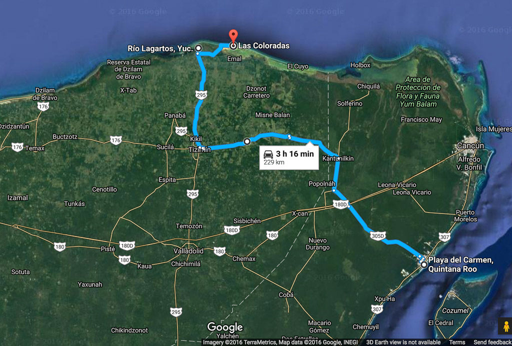 driving directions from Playa Del Carmen to Rio Lagartos in Yucatan Peninsula