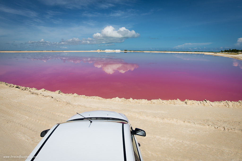 pink lagoon in los coloradas Yucatan Mexico