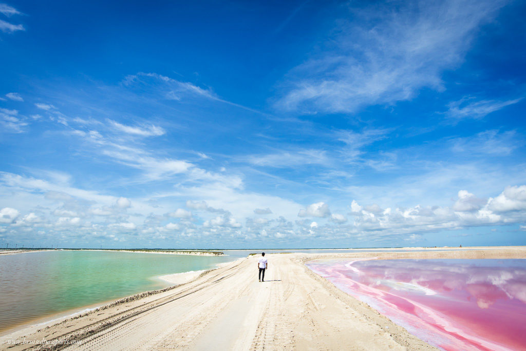 Pink and Green coloured lagoons in Las Coloradas on a Mexican Road Trip