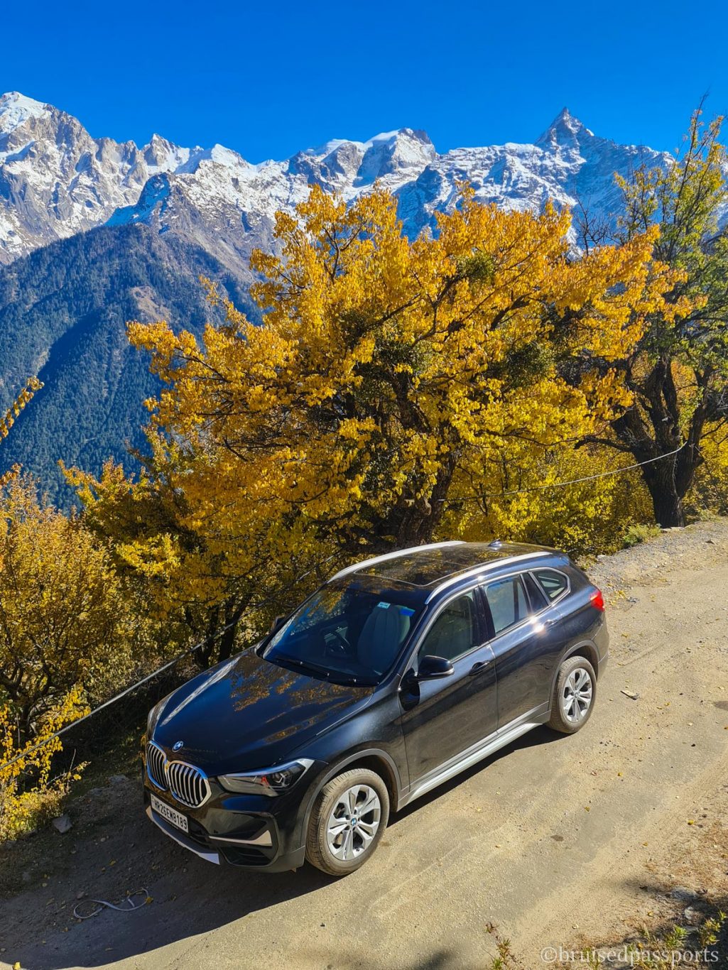 autumn foliage in Kalpa Himachal Pradesh