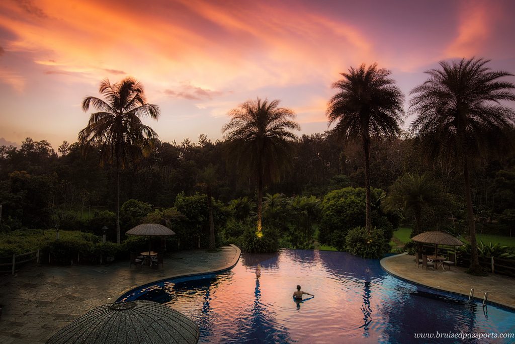 girl in pool at sunset in orange county evolve back coorg 