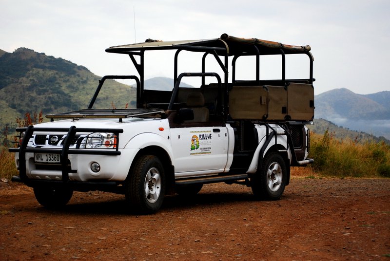 Safari at Hluhluwe Imfolozi National Park. Isinkwe