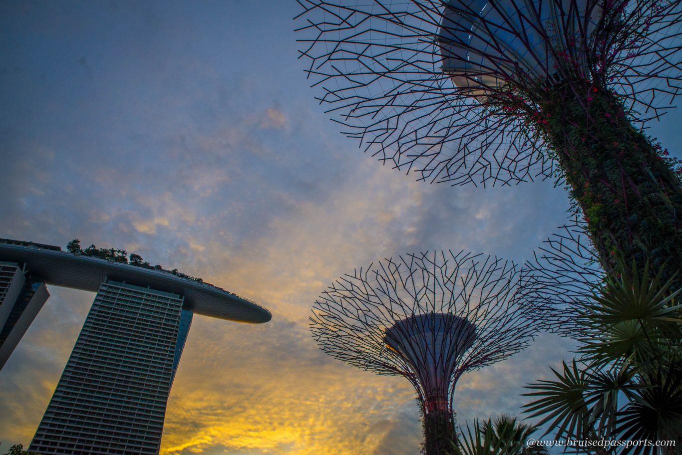 Gardens by the bay sunset Singapore