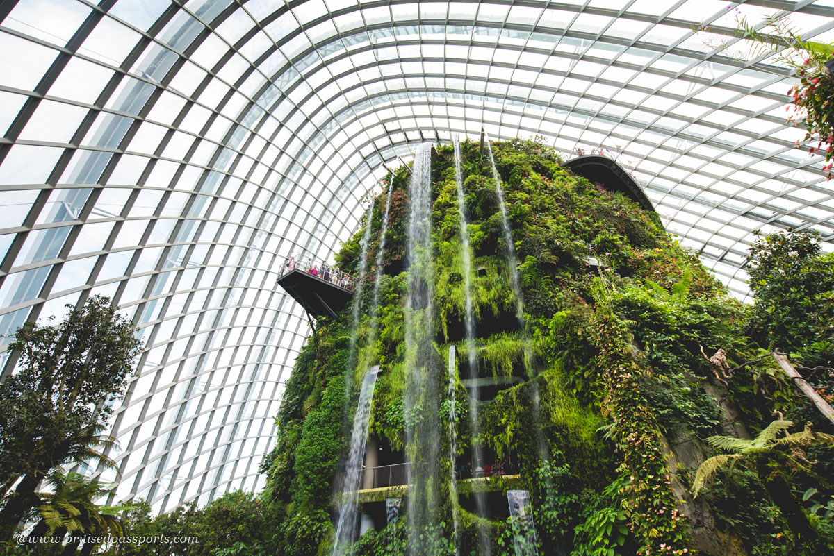 tallest man made waterfall at Gardens By The Bay