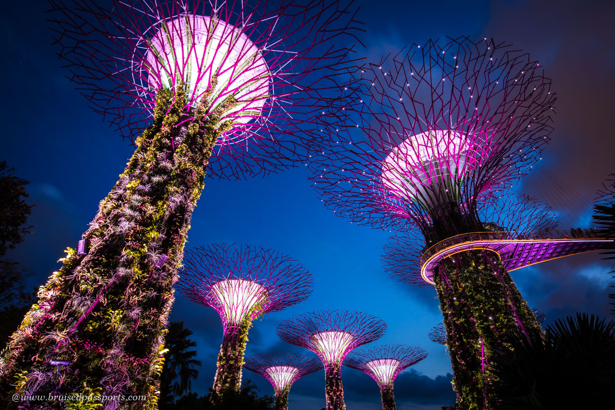 Rhapsody light show at Gardens By The Bay