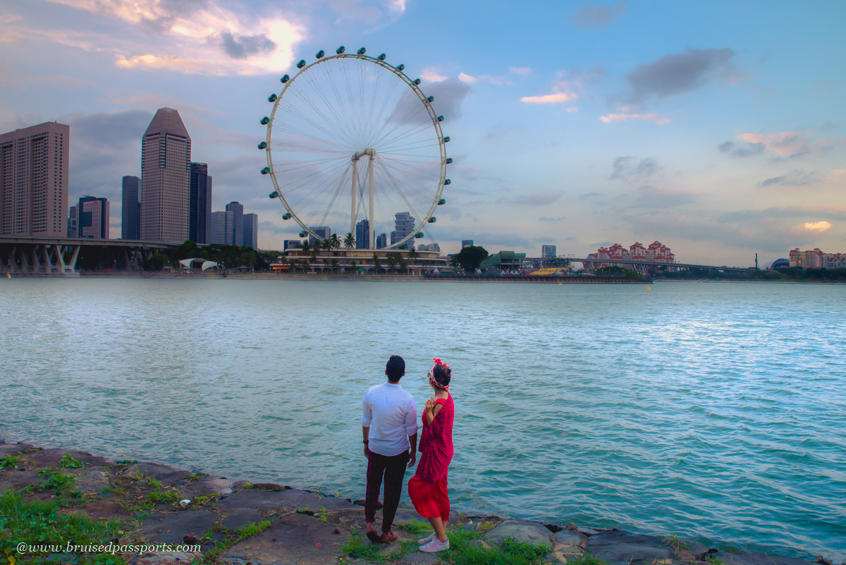 view of singapore flyer and skyline from gardens by the bay