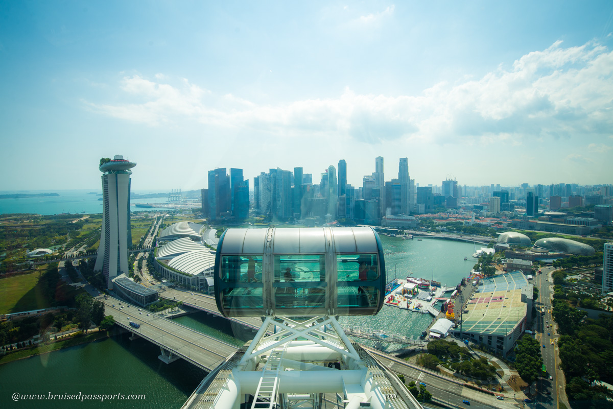 view of Singapore skyline from singapore flyer