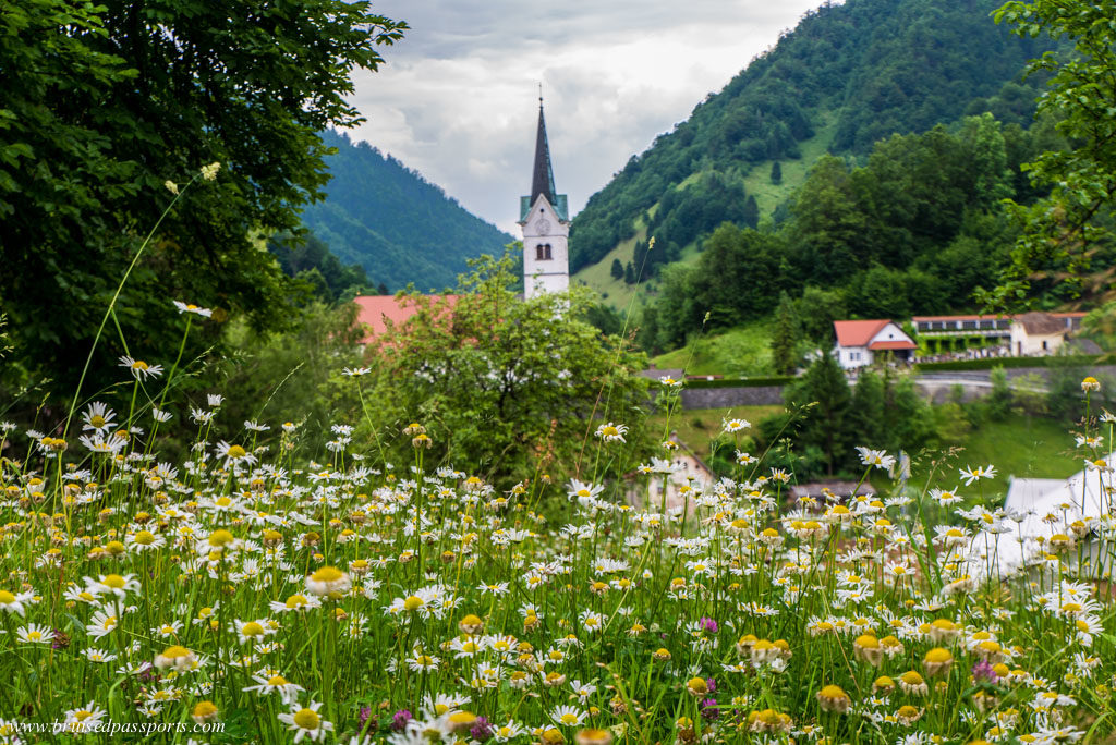 lunch at a Relais and Chateaux mansion in Idrija