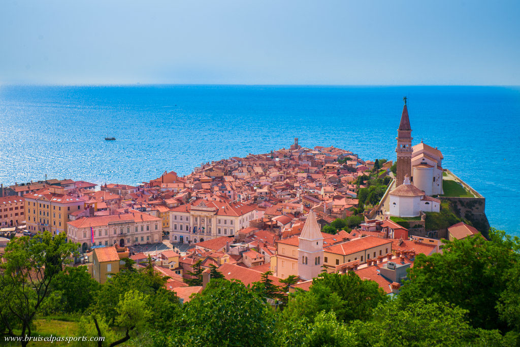 View of Piran old town from the walls