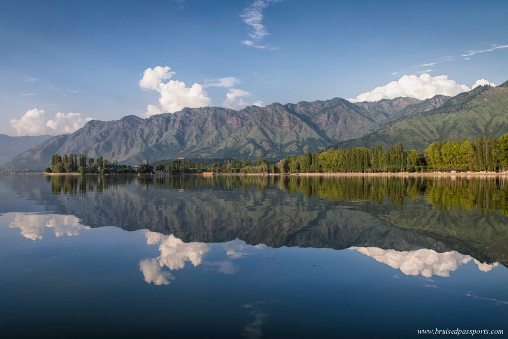 Reflections in Dal Lake