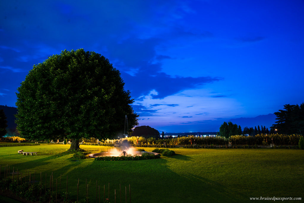 Chinar trees Srinagar Lalit Grand Palace