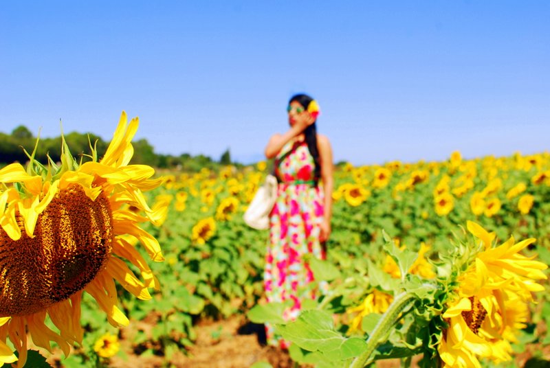 Spain Road Trip Sunflower Fields