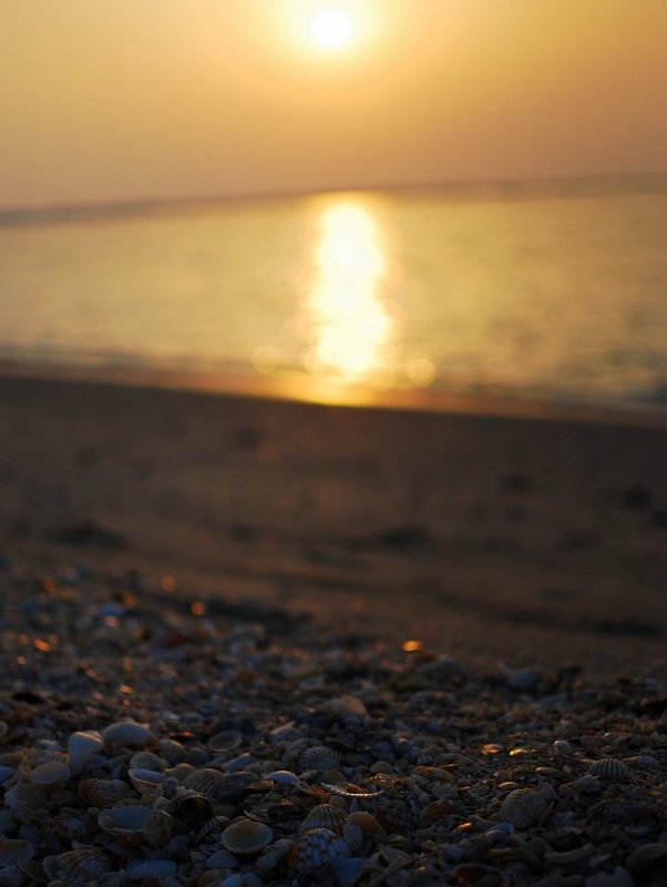 Offbeat Dubai Sunset at Jumeirah Beach