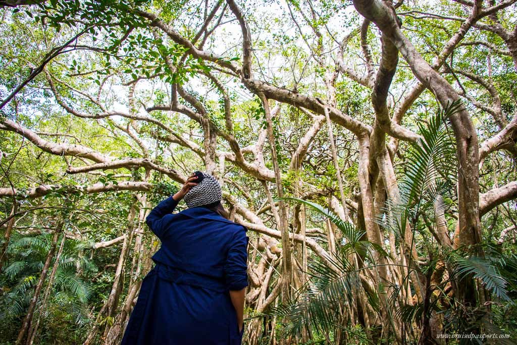 Taiwan Road Trip Kenting National Park