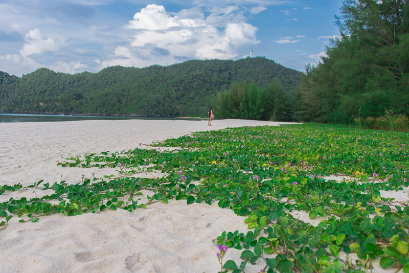 Things to do in Langkawi - Tanjung Rhu