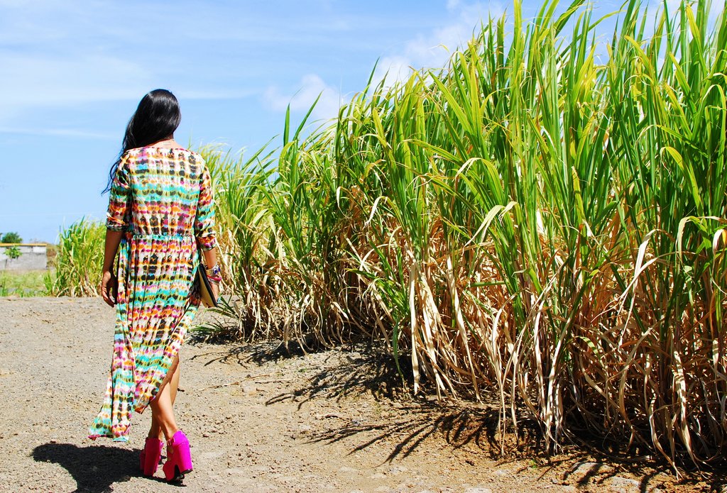 things to do in mauritius sugarcane