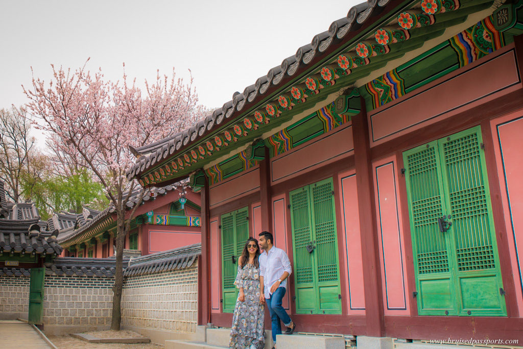 changgyeonggung palace grounds