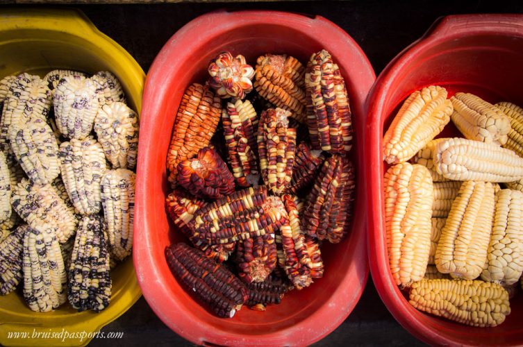 Different types of corn in Peru