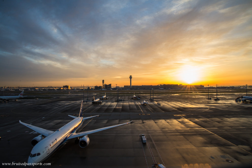 sunrise at Haneda airport's observation deck