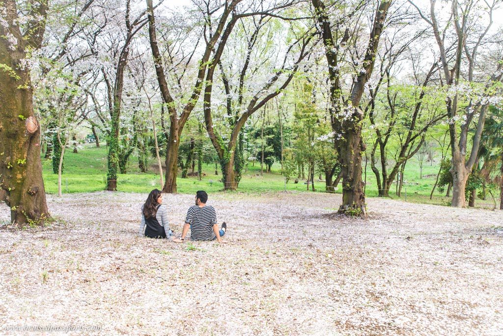 couple enjoying Cherry blossom in tokyo's parks