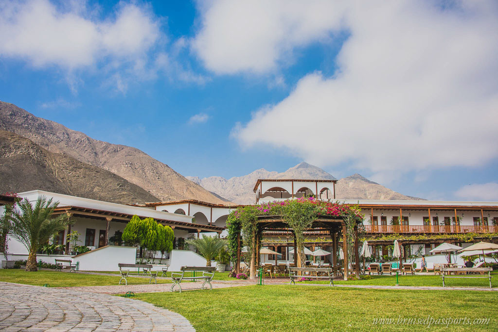 Vineyard hotel in Ica Peru