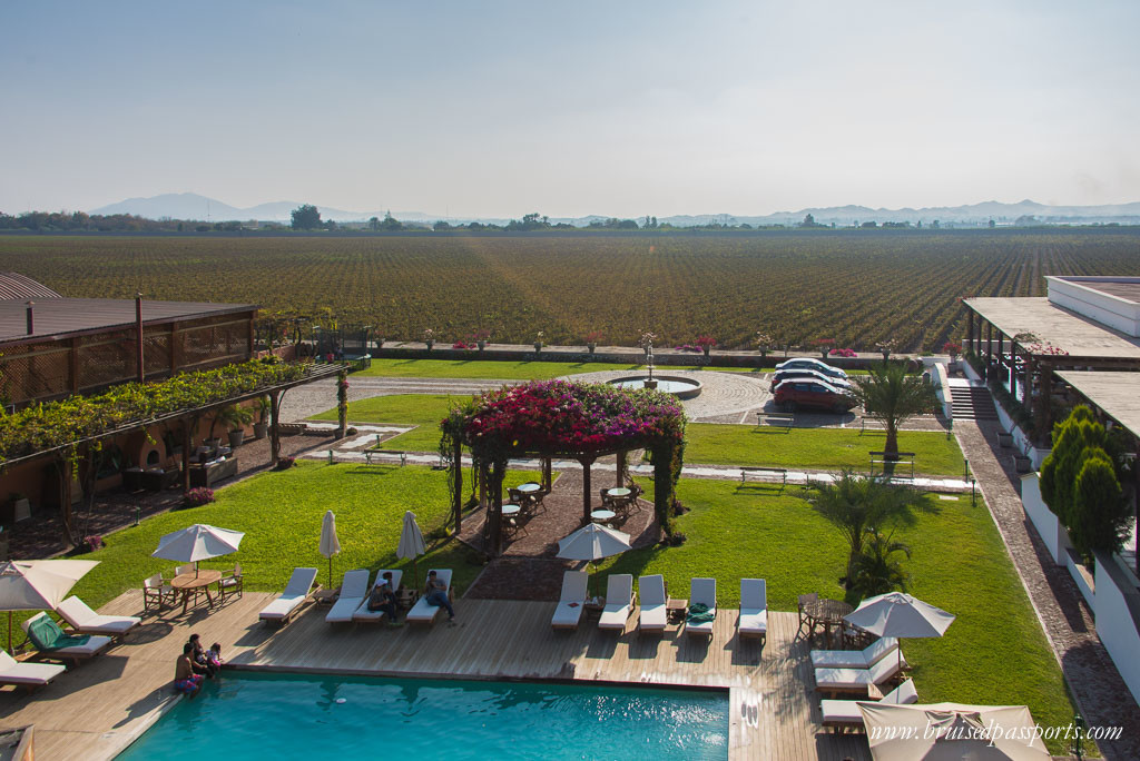 Vineyard hotel in Ica Peru