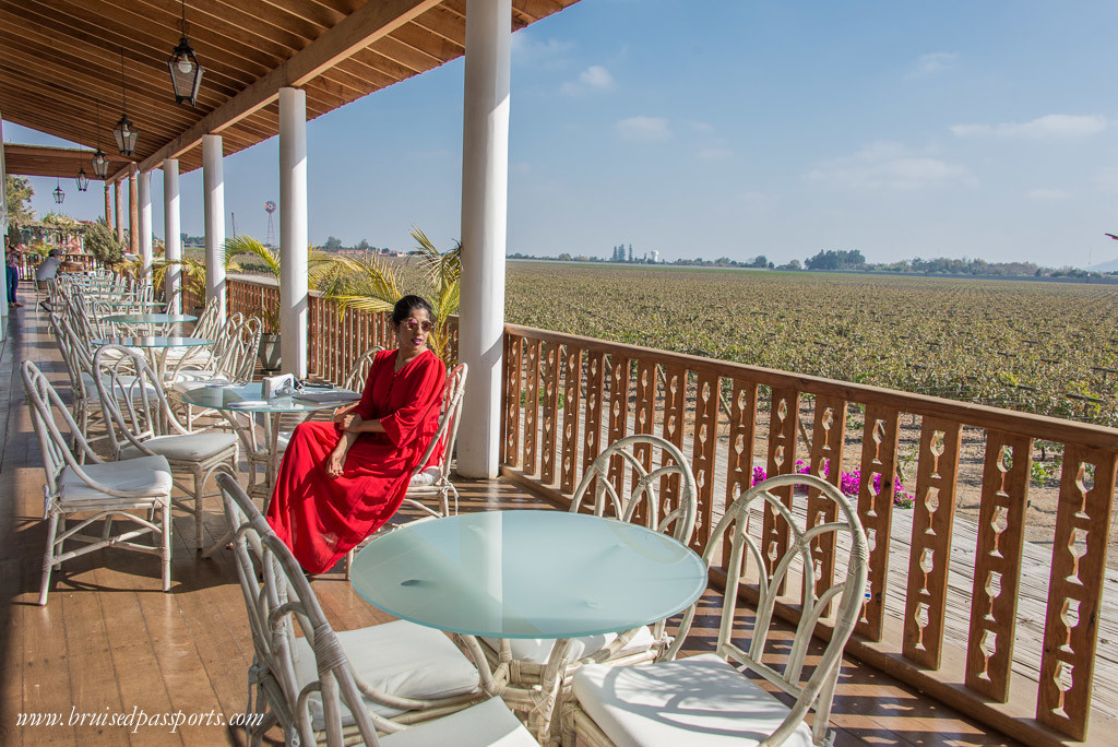 Vineyard hotel in Ica Peru